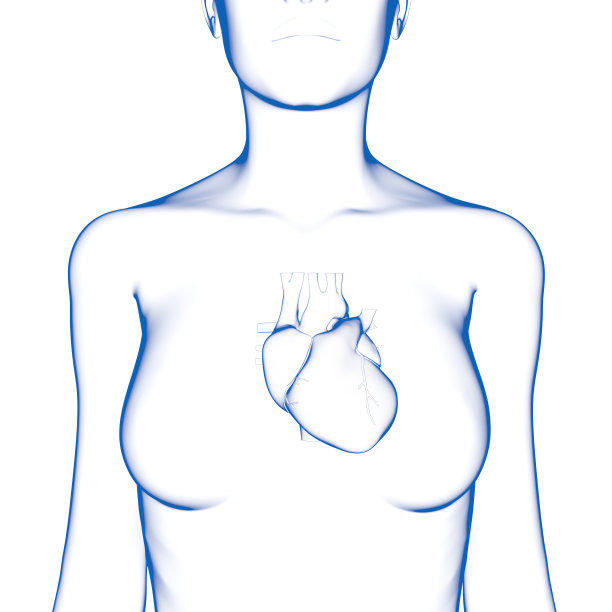 人类的心脏,女图片下载
