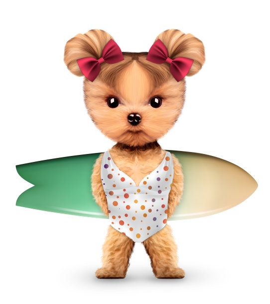 动物穿着泳衣，抱着海浪图片下载