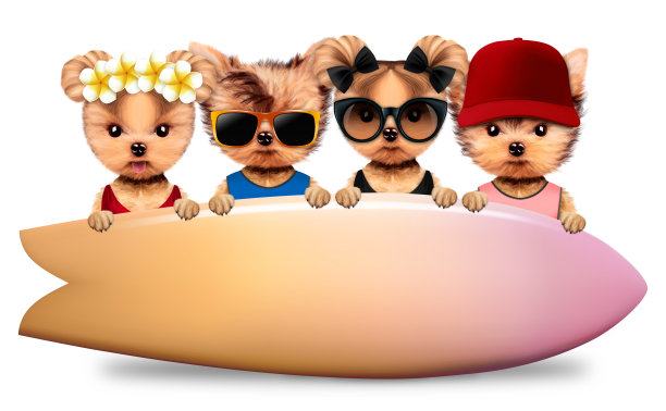 动物站在大冲浪板后面图片下载