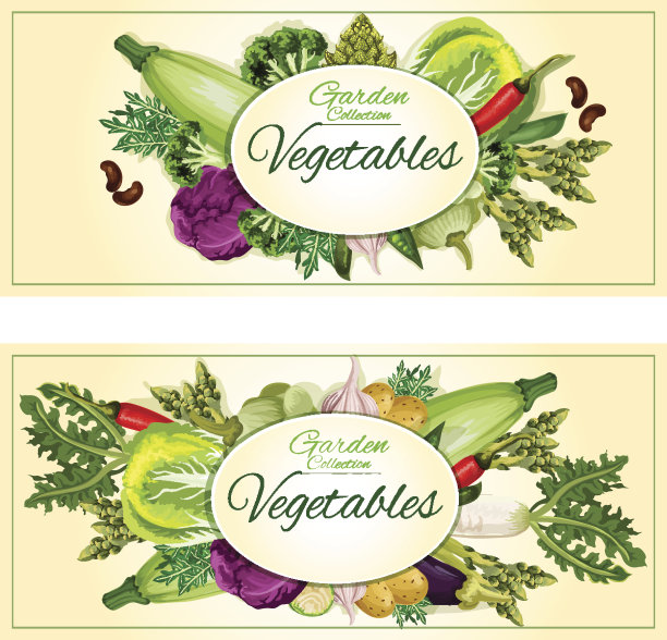 菜园蔬菜矢量海报，横幅图片下载
