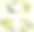 菜园蔬菜矢量海报，横幅图片下载