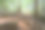 在通往柬埔寨暹粒省古高棉帝国库伦山脉神秘瀑布的路上，暹粒雨林的树冠图片下载