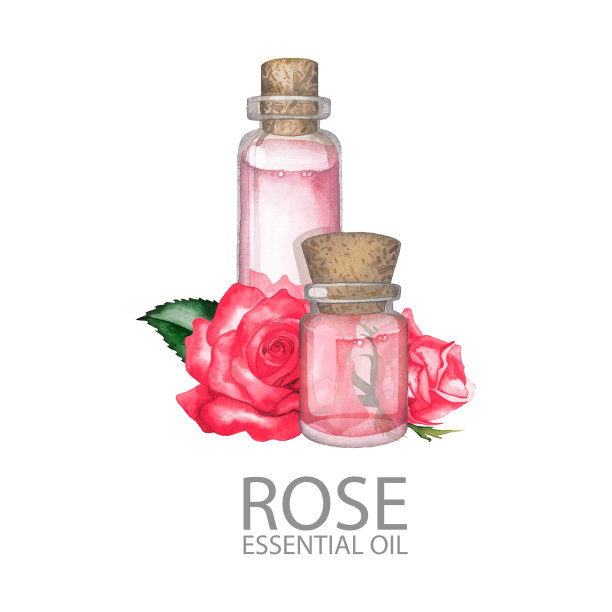 水彩玫瑰油图片下载