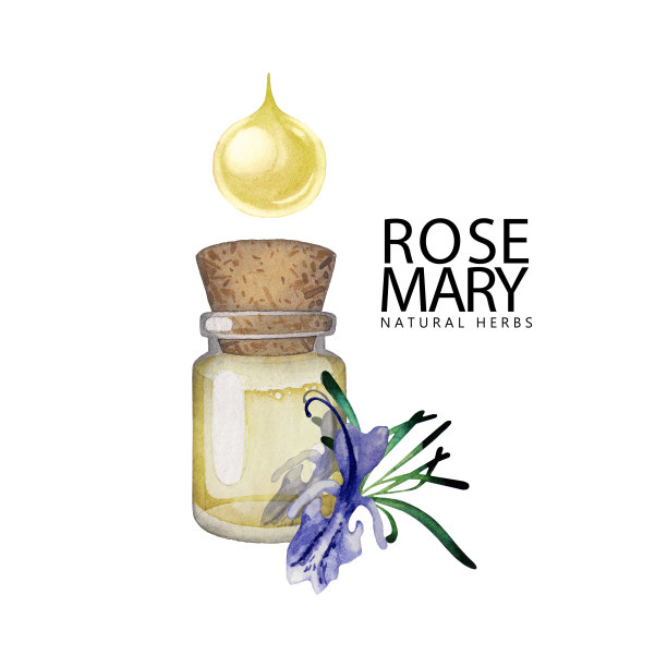 水彩迷迭香油图片下载