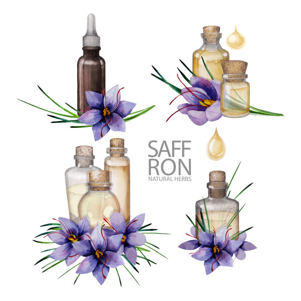 水彩迷迭香油图片下载