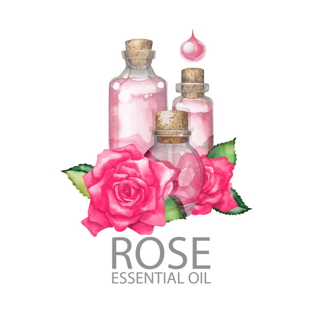 水彩玫瑰油图片下载