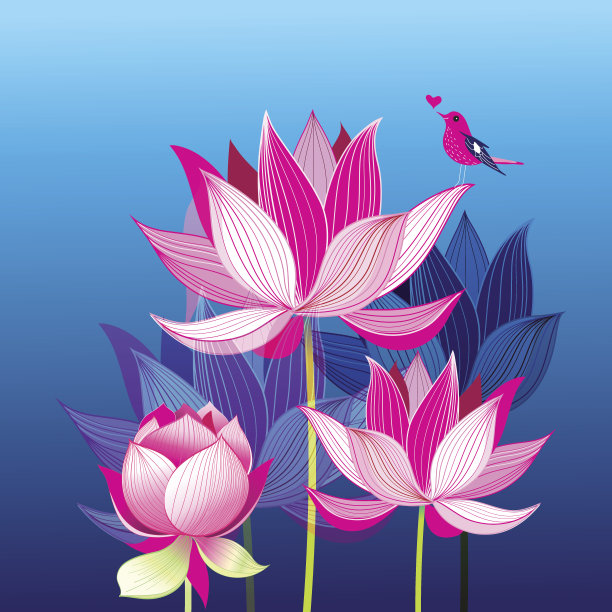 粉红色的荷花和一只爱情鸟图片下载