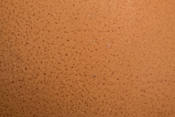 背景图片图片下载