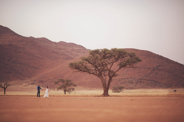 沙漠中的新婚夫妇图片下载
