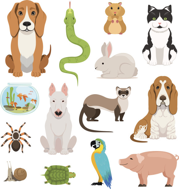 不同家畜的大型病媒集。卡通风格的猫、狗、仓鼠和其他宠物素材图片