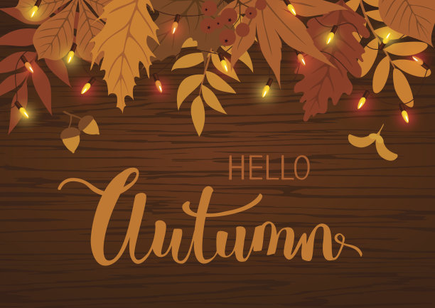秋天的背景是落叶和悬挂节日的灯泡，花环上是木质的纹理图片下载