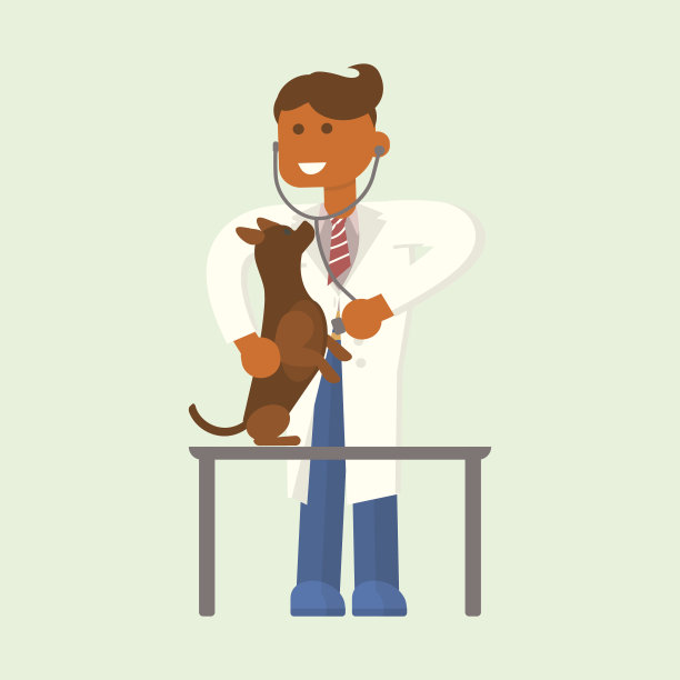 兽医在检查狗图片下载