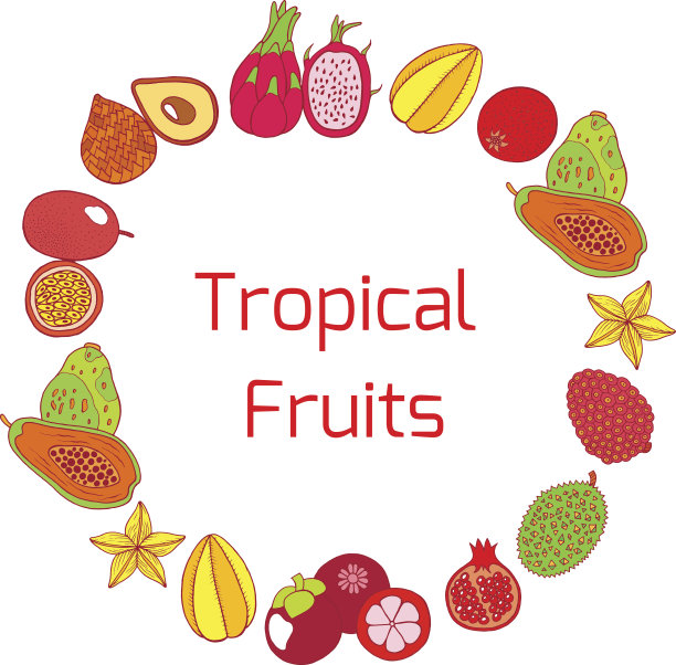 彩色手绘全圆形框架与热带异国水果。矢量图形艺术图片下载