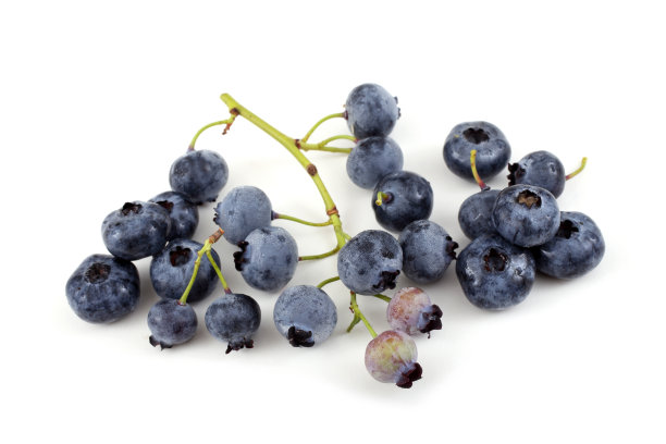 蓝莓图片下载
