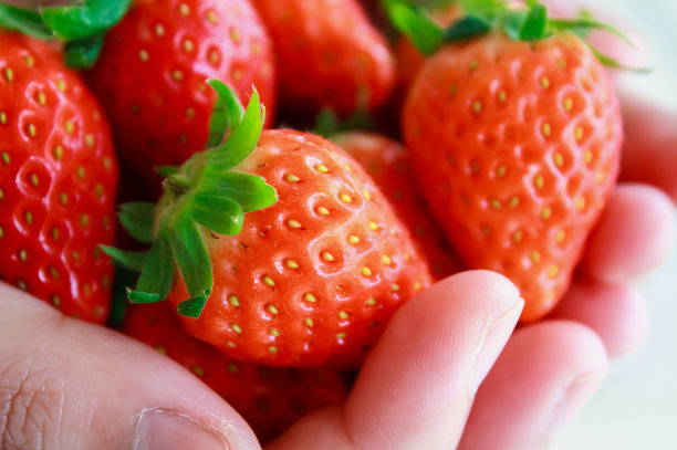 手拿着草莓图片下载