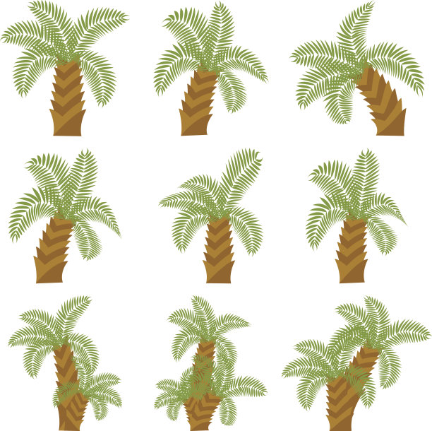 一组卡通的棕榈树。图片下载