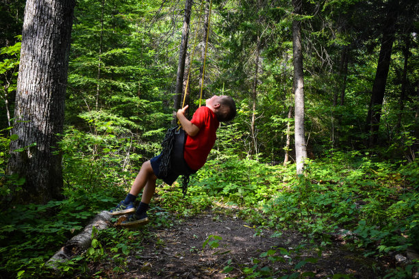 摆动的乐趣图片下载