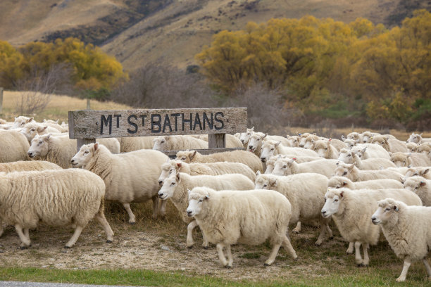 圣巴坦牧羊站图片下载