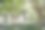 泰国曼谷寺庙花园里的中国灯笼素材图片