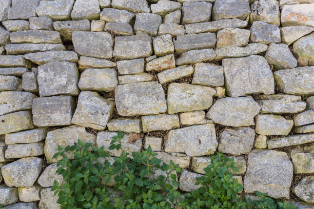 以绿色攀缘植物为背景的砖砌石墙图片下载