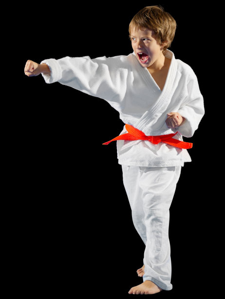 少年武术家图片下载