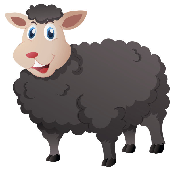 可爱的黑色绵羊在白色的背景图片下载