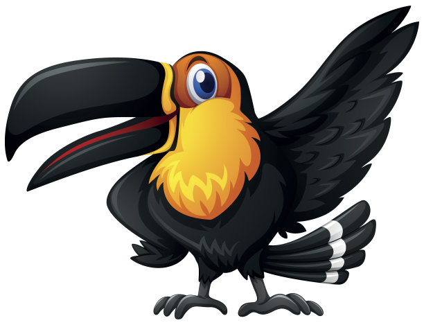 巨嘴鸟在白色的背景图片下载