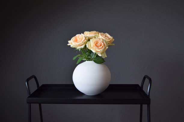 花:玫瑰图片下载