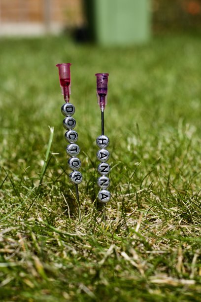 医生汉娜图片下载