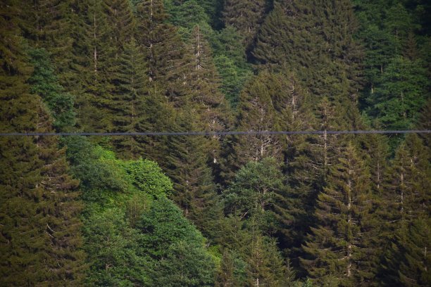 Ayder高原，Rize，土耳其。Ayder山谷位于Rize和Artvin之间。是夏季旅游的热门目的地。图片下载