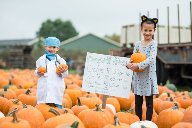 家人在南瓜地农场图片下载