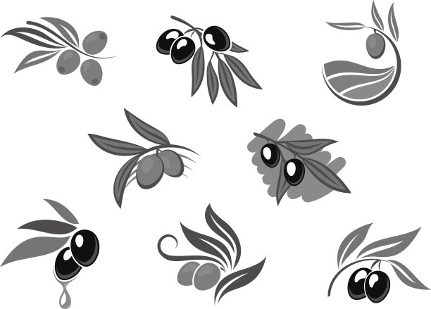 橄榄枝与油隔离图标设置图片下载