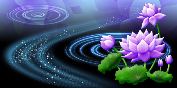 紫色荷花与黑色背景图片下载