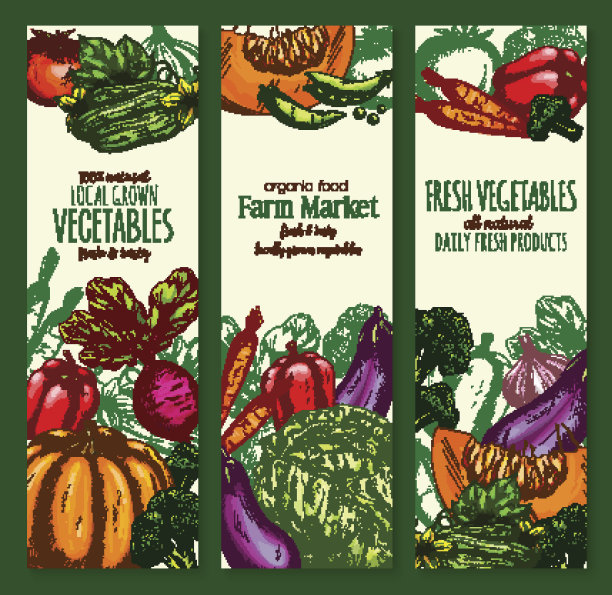 蔬菜，有机农场蔬菜素描横幅设置素材图片