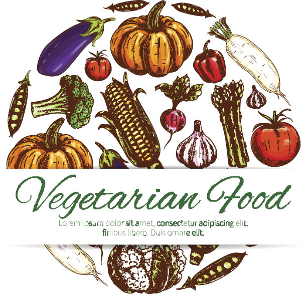 蔬菜是新鲜有机蔬菜的象征素材图片