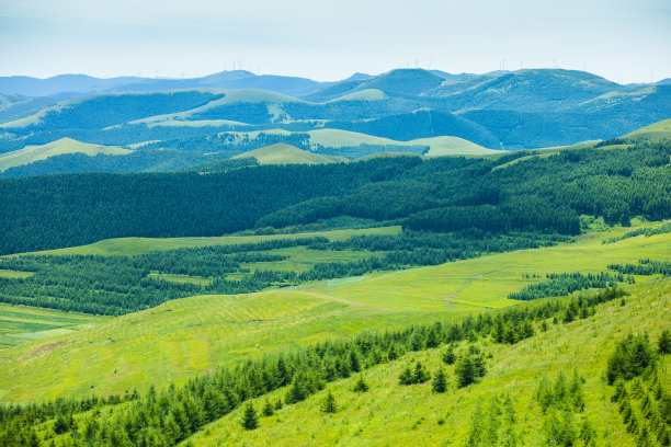 山景观图片下载