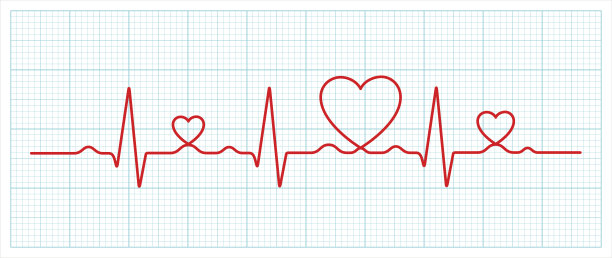 矢量心电图和心脏形态(健康概念)图片下载