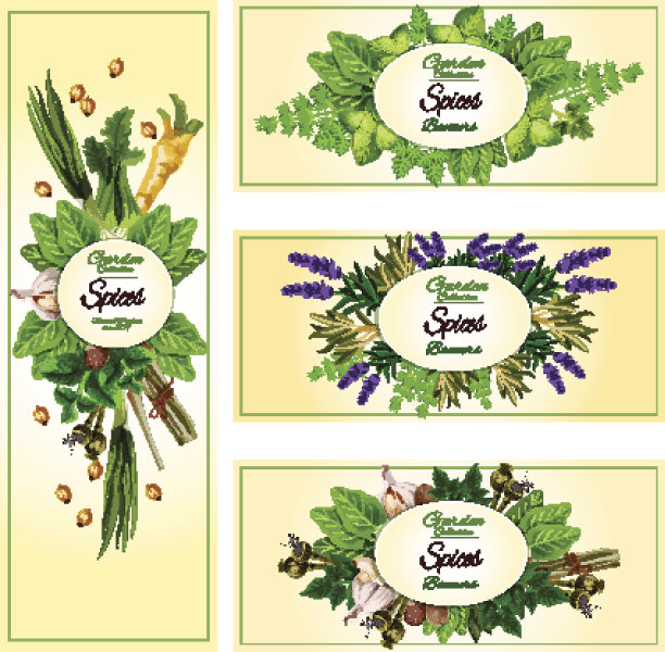 Vecor花卉香料和香草横幅图片下载