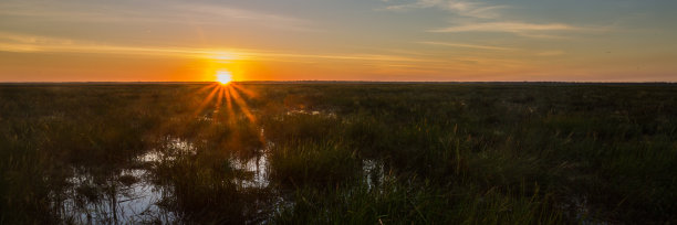 澳大利亚北部玛丽河泛滥平原湿地上的日落图片下载