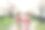 日本樱花图片素材ID：308077170