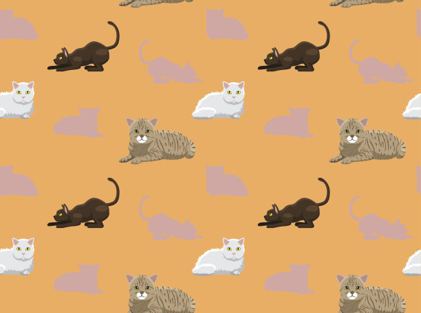 猫壁纸16图片下载