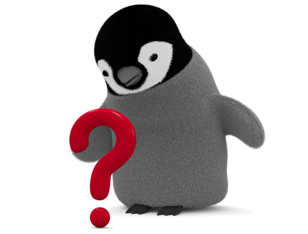 企鹅和问号图片下载