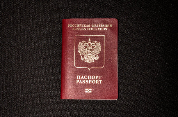 俄罗斯护照图片下载