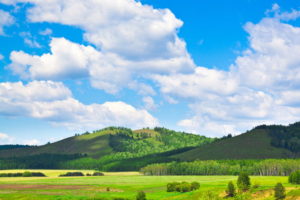 草原图片素材ID：308079054