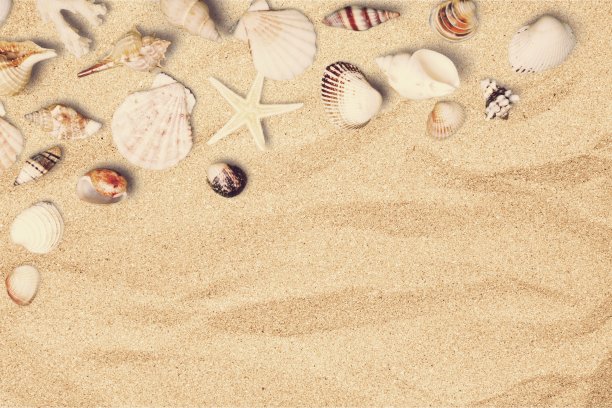 海滩。图片下载