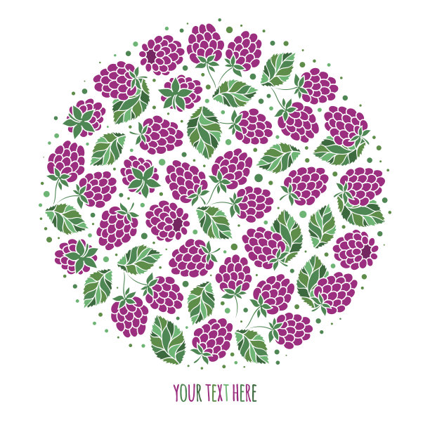 天然水果和浆果圆形象征着新鲜的黑莓图片下载