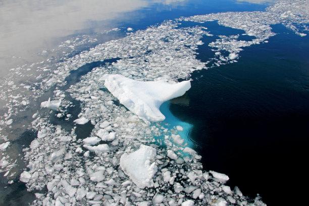 南极半岛的浮冰图片下载