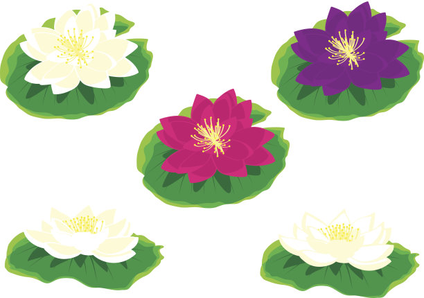 数字剪辑艺术图像latus图片下载