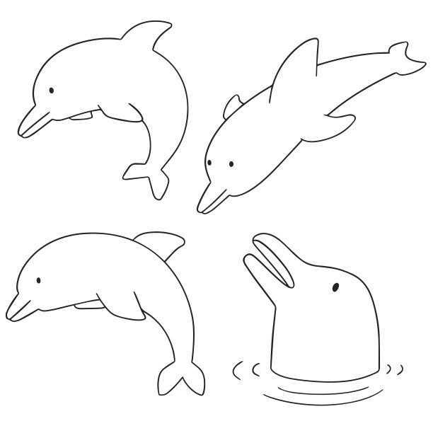 海豚图片下载