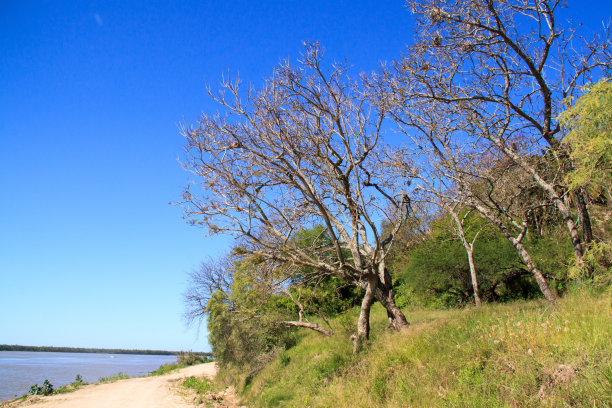 巴拉那海岸图片下载